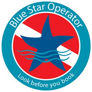 Blue Star Operator logo with a blue star and wavy lines on a red background, encircled by teal ring with white text.