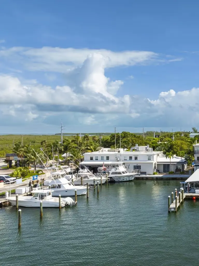 Marina with several docked white boats and a white building surrounded by greenery under a blue sky with scattered clouds.